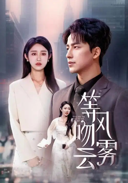 无声证人 悬疑剧在线观看视频