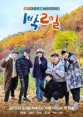 答案在风里 深度访谈在线观看
